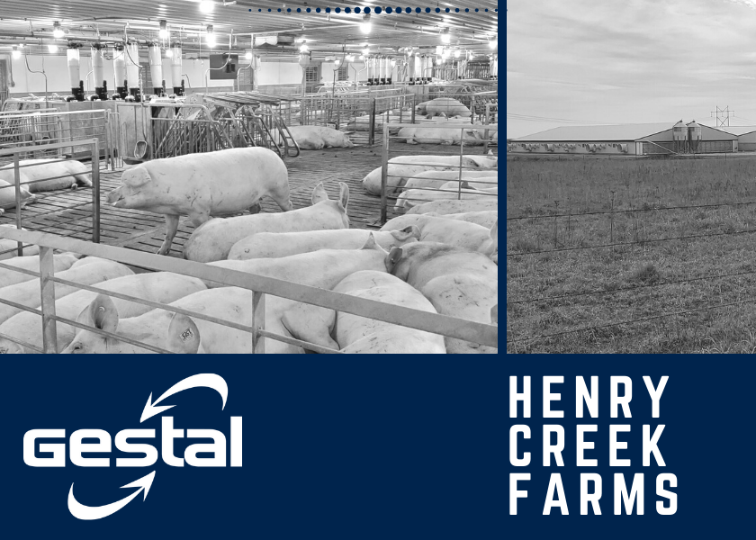 Kansas Farmer Uses Precision Pig Feeding System to Grow Their Family Farm Pork Business